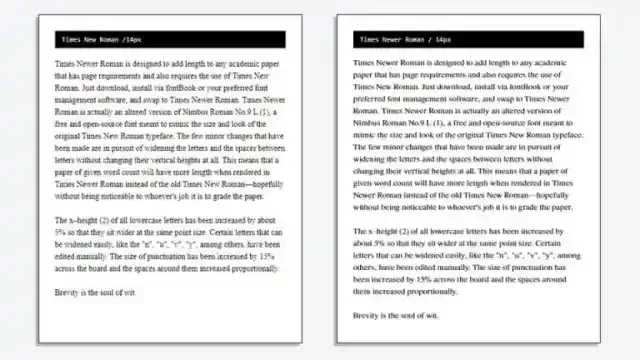 Times Newer Roman Serif Font preview 1 – Serif Fonts font sample