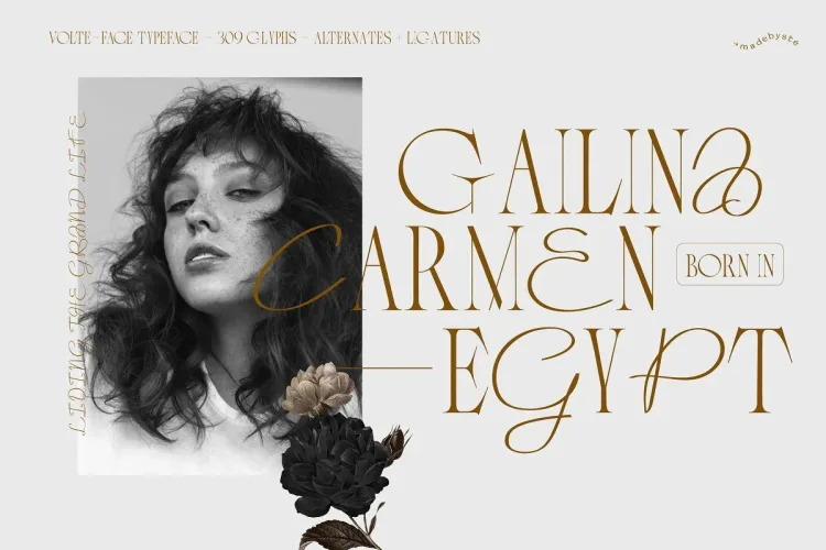 VOLTE-FACE – Serif & Script Font preview 2 – Serif Fonts font sample