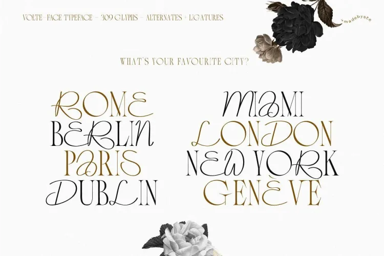 VOLTE-FACE – Serif & Script Font preview 6 – Serif Fonts font sample