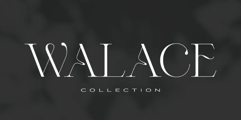 Valery Font preview 2 – Serif Fonts font sample