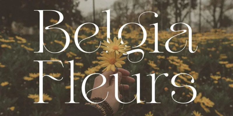 Valery Font preview 8 – Serif Fonts font sample