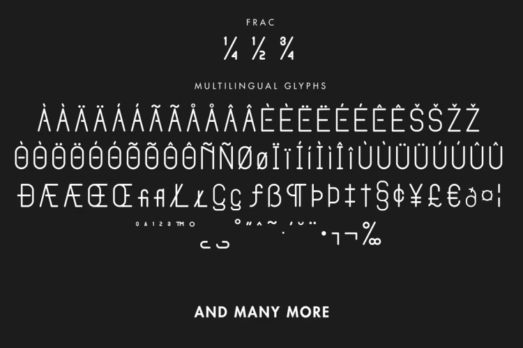 Venditum Typeface Font free download preview 3 – Serif Fonts font