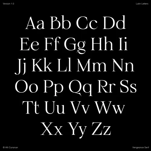 Vengeance Serif Font preview 3 – Serif Fonts font sample