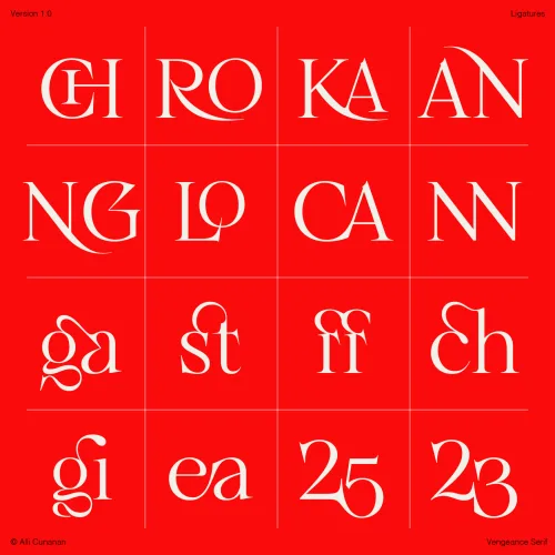 Vengeance Serif Font preview 4 – Serif Fonts font sample
