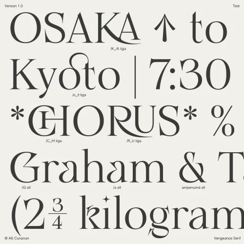 Vengeance Serif Font preview 6 – Serif Fonts font sample