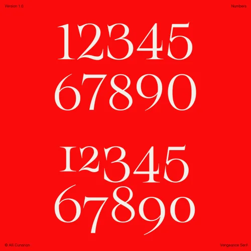 Vengeance Serif Font preview 8 – Serif Fonts font sample