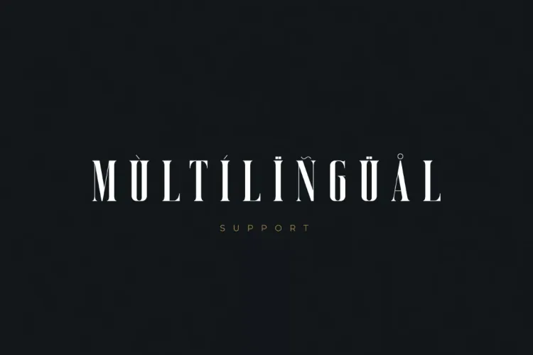 Vicenza Font preview 2 – Serif Fonts font sample