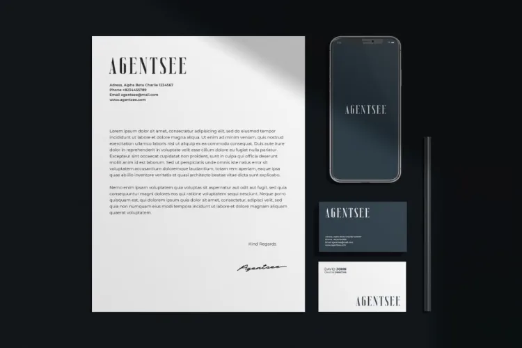 Vicenza Font preview 3 – Serif Fonts font sample
