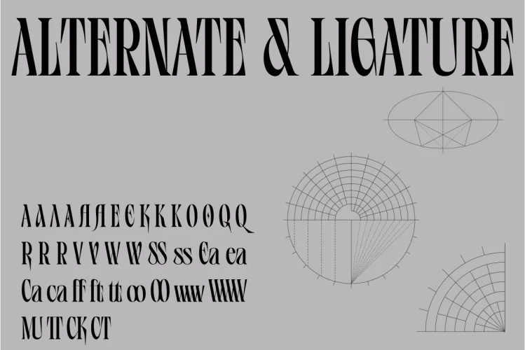 Vifellia Font preview 3 – Serif Fonts font sample
