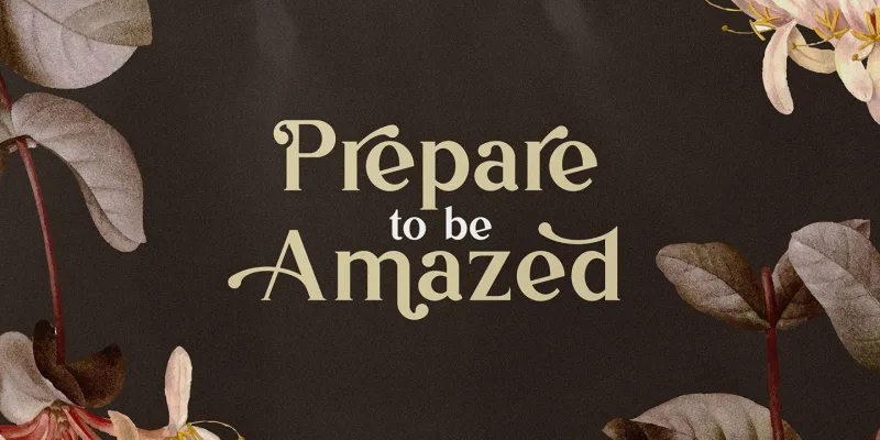 Vintage Mintage Font preview 1 – Serif Fonts font sample