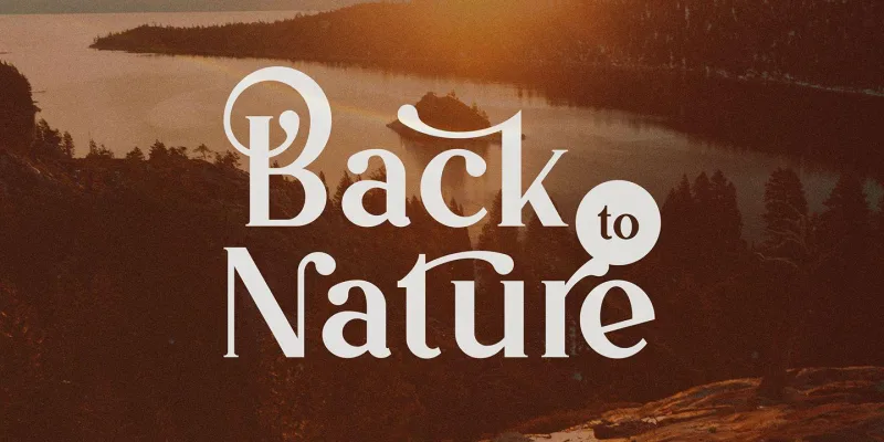 Vintage Mintage Font preview 7 – Serif Fonts font sample