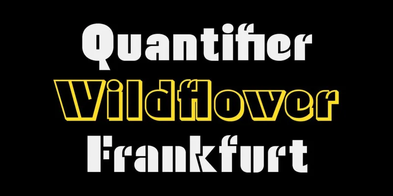 Waldo Font Family preview 5 – Display Fonts font sample