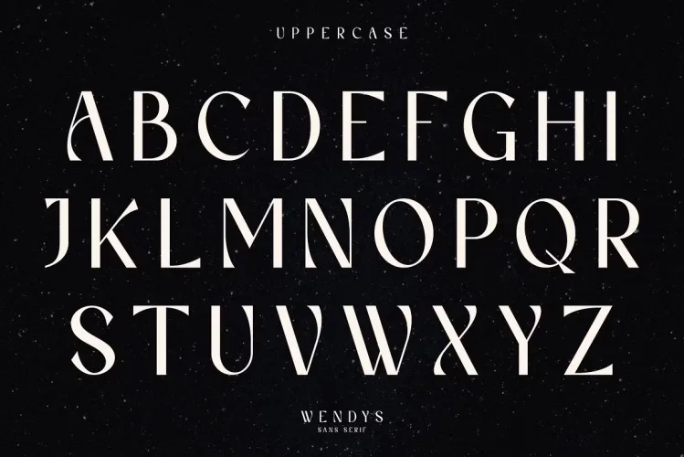 Wendys Font preview 7 – Serif Fonts font sample