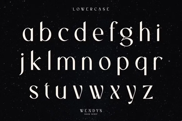 Wendys Font preview 8 – Serif Fonts font sample