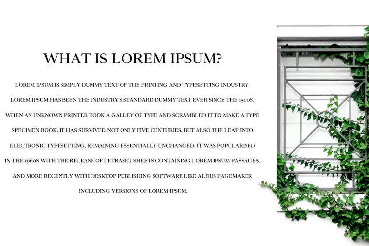 Wensley Font preview 1 – Serif Fonts font sample