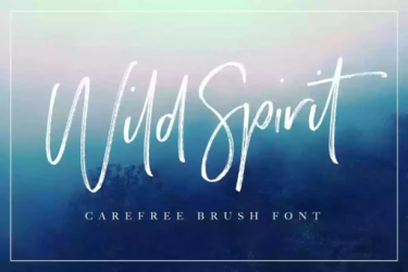Wild Spirit Font free download – Branding font preview