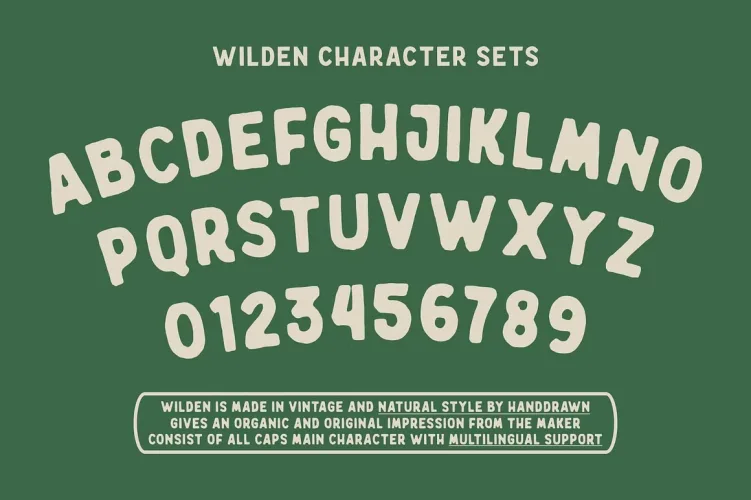 Wilden Font preview 7 – Display Fonts font sample