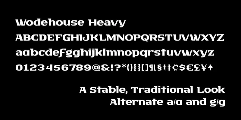Wodehouse Font Family preview 3 – Font Family font sample