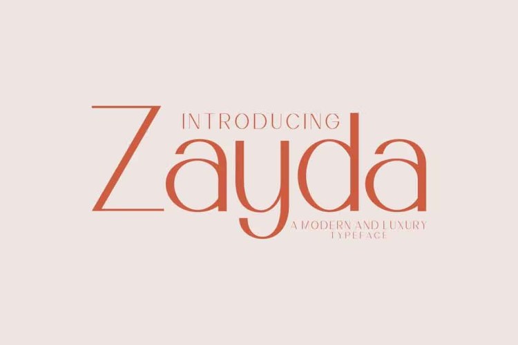 Zayda Modern Sans Serif Font free download preview 3 – Sans Serif Fonts font