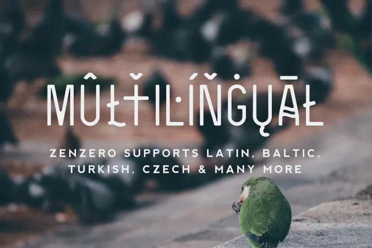 Zenzero Sans Font preview 1 – Serif Fonts font sample