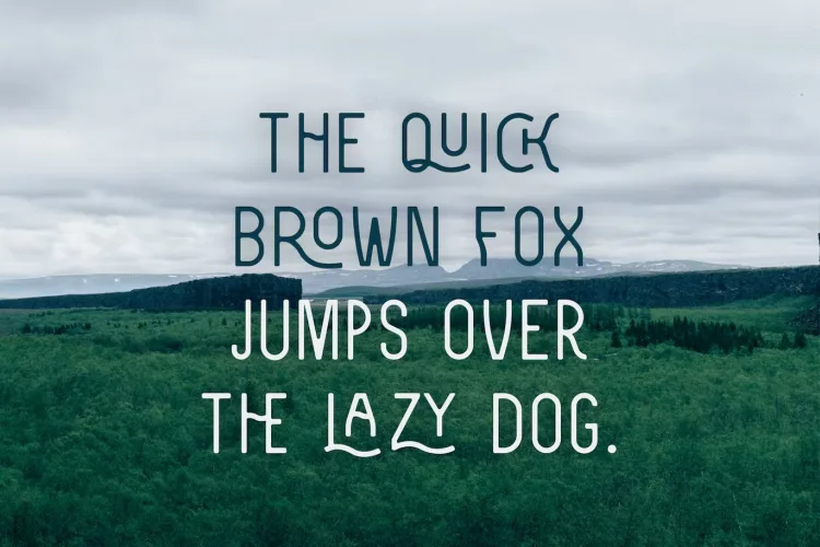 Zenzero Sans Font preview 3 – Serif Fonts font sample