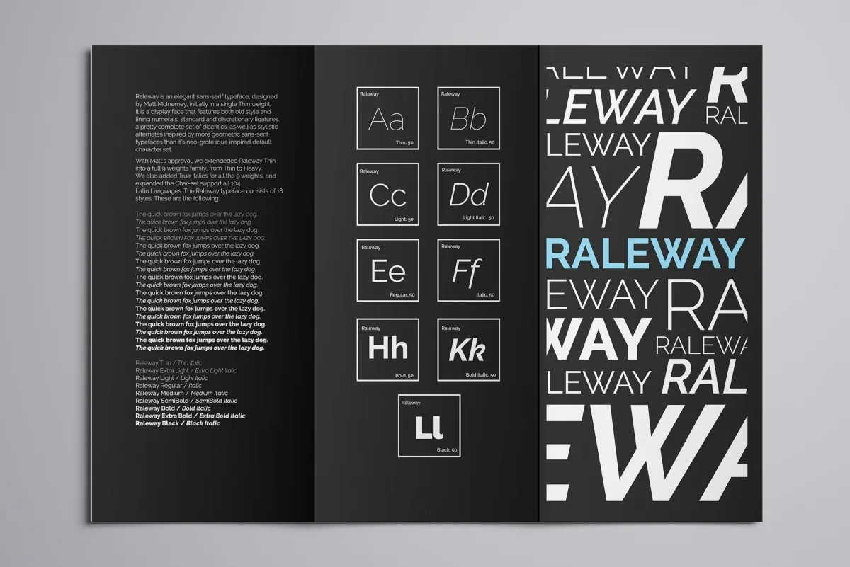 Raleway Font